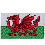 The Wales flag consists of a red dragon passant on a green and white field.