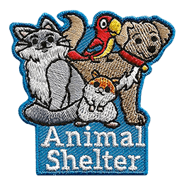 A dog, parrot, cat and hamster are above the words Animal Shelter.