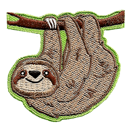 A happy sloth dangles from a branch.
