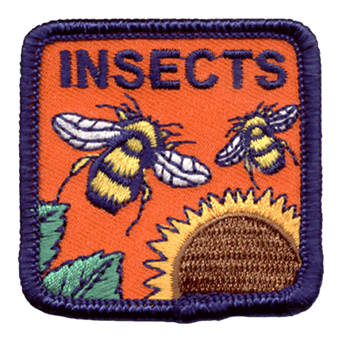 Insects (Iron-On)
