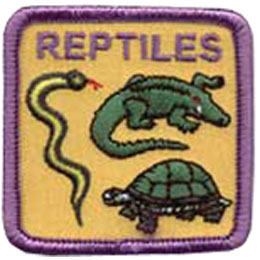 A snake, turtle, and crocodile decorate this square patch under the word Reptiles.