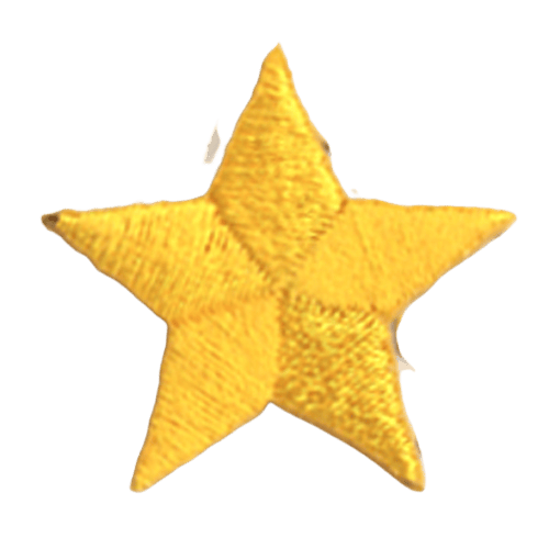 This five pointed, golden coloured star is usually awarded for athletic achievement. 