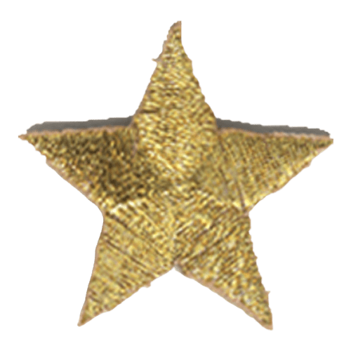 A metallic gold, five-pointed star.