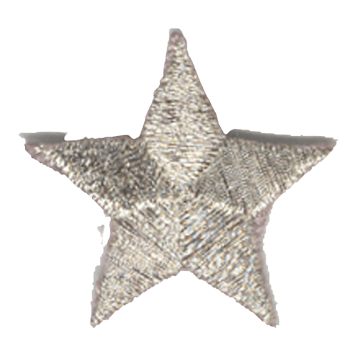 A metallic silver five-pointed star.