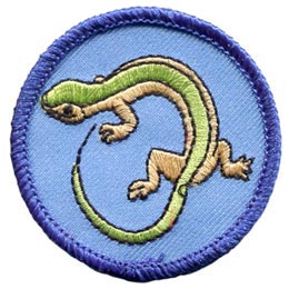 A green and cream coloured lizard on a blue background.