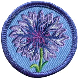A purple cornflower is in the centre of a blue, circular patch.