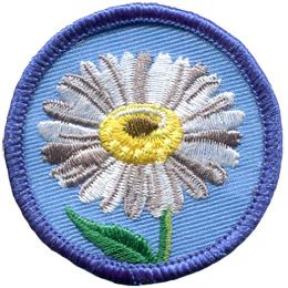 A white daisy is in the centre of a blue, circular patch. 