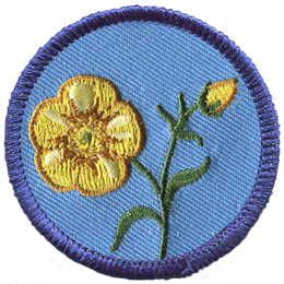A buttercup springs from the ground to fully bloom on this circular crest. The buttercup stock splits in two, the left the blooming flower and the right a yellow bud.