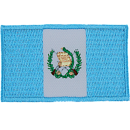 Two vertical blue stripes are separated by a white stripe containing the Guatemala shield of arms.