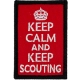 Keep Calm and Keep Scouting (Iron-On)