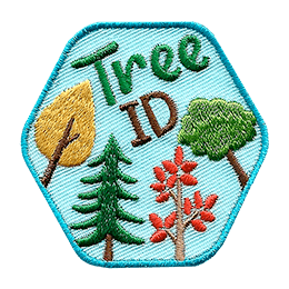 The word Tree ID is above several different tree species. 