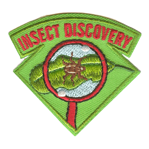 Insect Discovery (Iron-On)