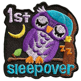 An owl on a branch sleeps against a tree. It wears a blue nightcap. The words 1st above and the word Sleepover below it.