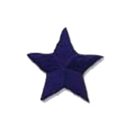 Star, Blue, Patch, Embroidered Patch, Merit Badge, Badge, Emblem, Iron On, Iron-On, Crest, Lapel Pin, Insignia, Girl Scouts, Boy Scouts, Girl Guides 