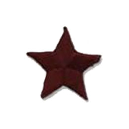 Star, Burgundy, Patch, Embroidered Patch, Merit Badge, Badge, Emblem, Iron On, Iron-On, Crest, Lapel Pin, Insignia, Girl Scouts, Boy Scouts, Girl Guides 
