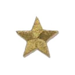 Star, Gold, Metallic, Patch, Embroidered Patch, Merit Badge, Badge, Emblem, Iron On, Iron-On, Crest, Lapel Pin, Insignia, Girl Scouts, Boy Scouts, Girl Guides 