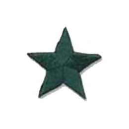 Star, Green, Patch, Embroidered Patch, Merit Badge, Badge, Emblem, Iron On, Iron-On, Crest, Lapel Pin, Insignia, Girl Scouts, Boy Scouts, Girl Guides 