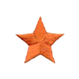 Star, Orange, Patch, Embroidered Patch, Merit Badge, Badge, Emblem, Iron On, Iron-On, Crest, Lapel Pin, Insignia, Girl Scouts, Boy Scouts, Girl Guides 