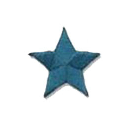 Star, Teal, Patch, Embroidered Patch, Merit Badge, Badge, Emblem, Iron On, Iron-On, Crest, Lapel Pin, Insignia, Girl Scouts, Boy Scouts, Girl Guides 