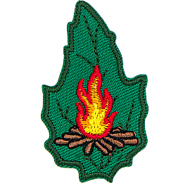 A campfire on a green leaf.