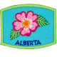 Provincial Flower - Alberta (Iron-On)