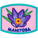 Provincial Flower - Manitoba (Iron-On)