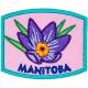 Provincial Flower - Manitoba (Iron-On)