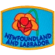 Provincial Flower - Newfoundland and Labrador (Iron-On)