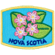 Provincial Flower - Nova Scotia (Iron-On)