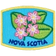 Provincial Flower - Nova Scotia (Iron-On)