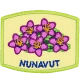 Provincial Flower - Nunavut (Iron-On)