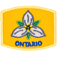 Provincial Flower - Ontario (Iron-On)  
