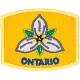 Provincial Flower - Ontario (Iron-On)  