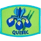 Provincial Flower - Quebec (Iron-On)