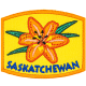 Provincial Flower - Saskatchewan (Iron-On)