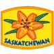 Provincial Flower - Saskatchewan (Iron-On)